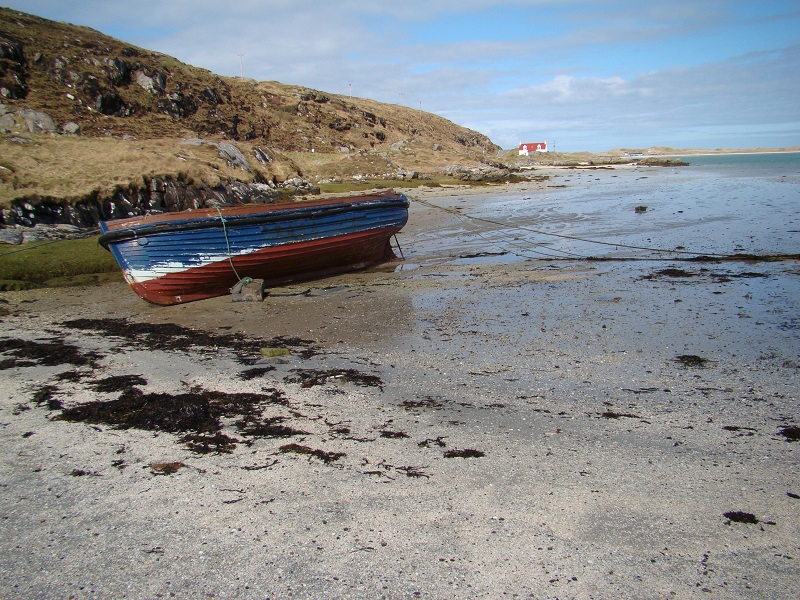 Image 10
